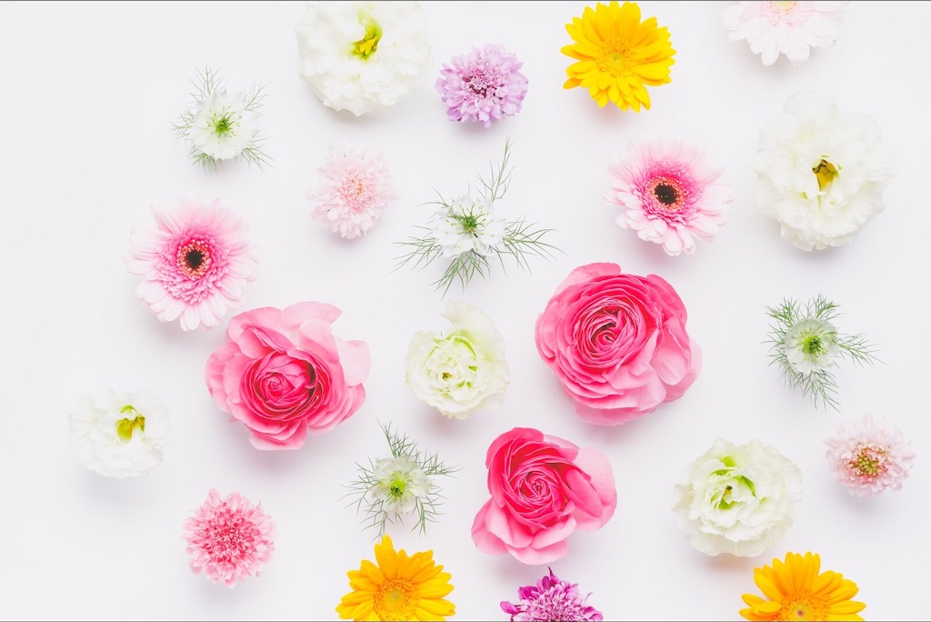 f:id:mblog47665:20190925085217j:image f:id:mblog47665:20190925085217j:image