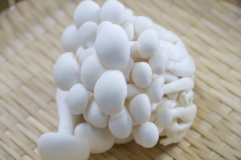 食卓が華やかに ブナピーとトマトの彩りサラダ 関東きのこの会 きのこ情報ポータルサイト