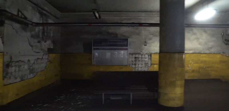 平成30年7月 改修前の博物館動物園駅 ペンギンの絵を撮った 舮の一番先