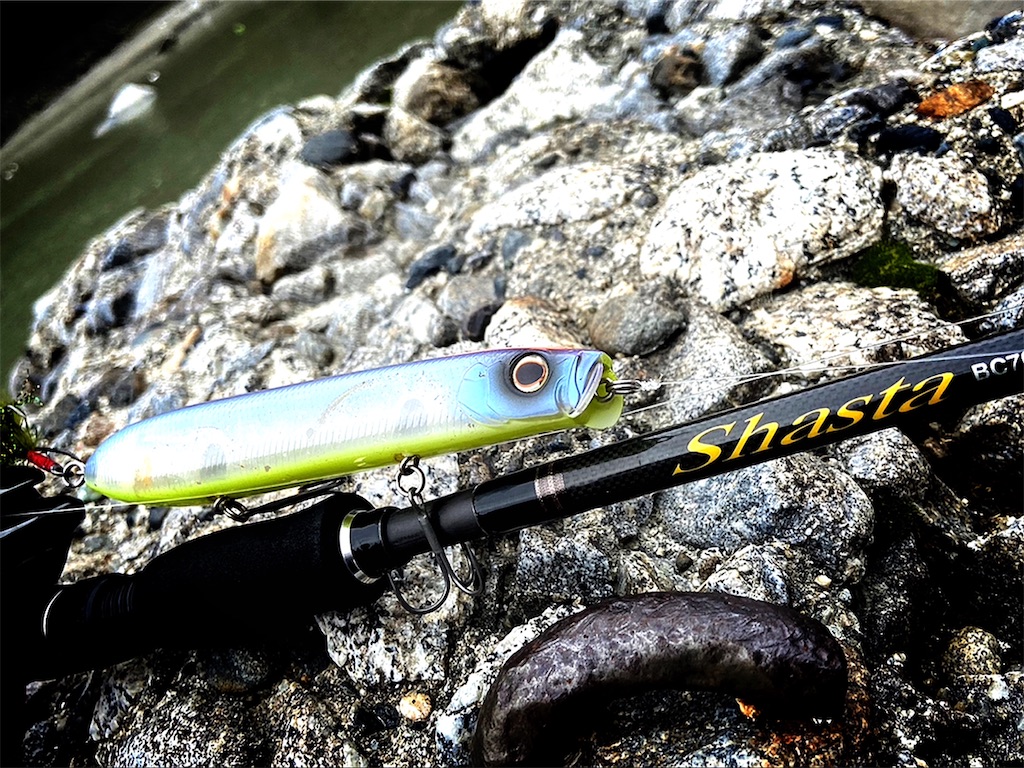 天竜川バス釣り【TOP5】2021年版 - YASHIRO CONFIDENCE