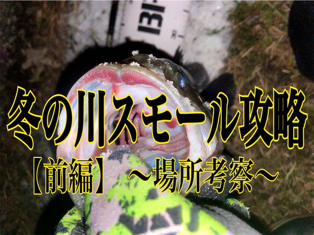 f:id:mc_yashiro:20240106145241j:image f:id:mc_yashiro:20240106145241j:image