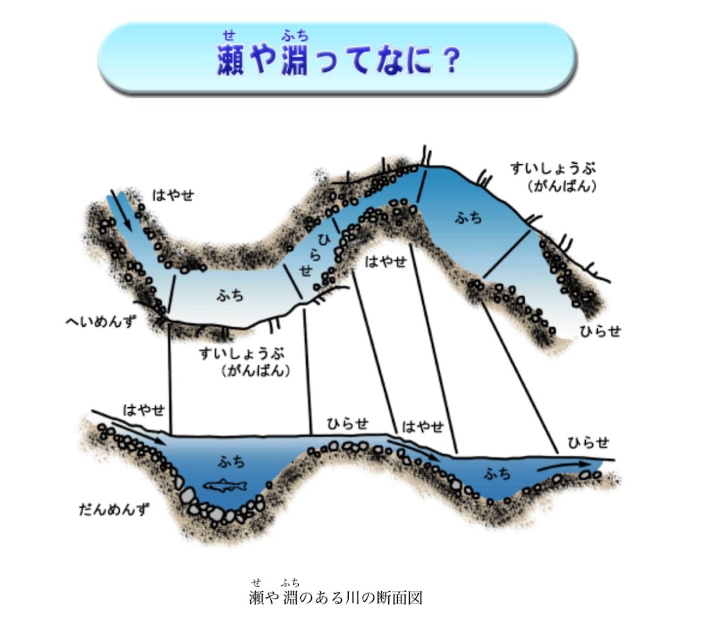 f:id:mc_yashiro:20240816213215j:image f:id:mc_yashiro:20240816213215j:image