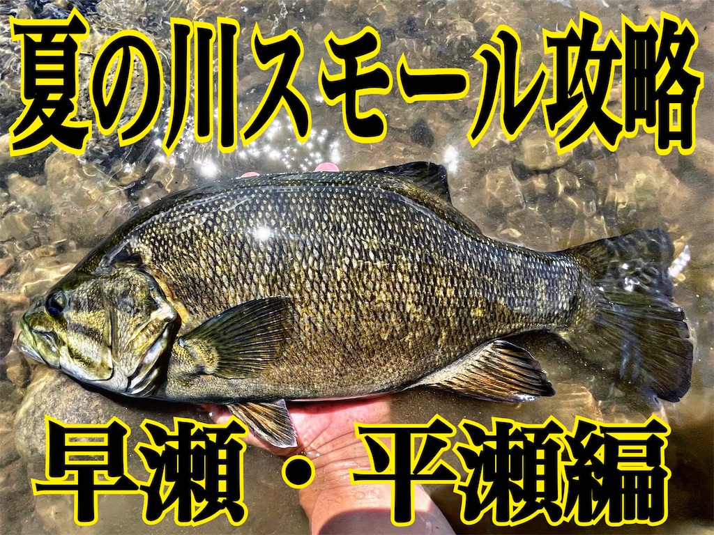 f:id:mc_yashiro:20240818235908j:image f:id:mc_yashiro:20240818235908j:image