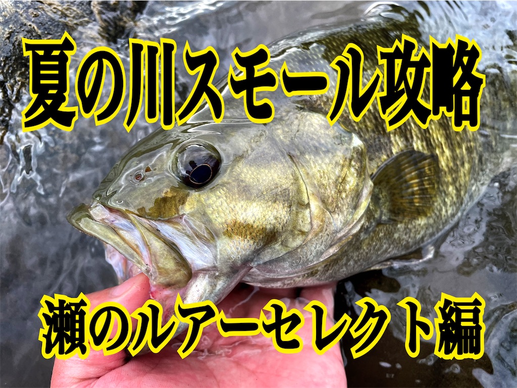 f:id:mc_yashiro:20240906193343j:image f:id:mc_yashiro:20240906193343j:image
