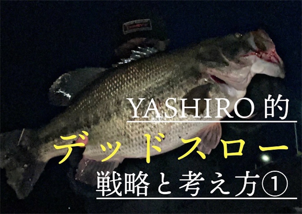 f:id:mc_yashiro:20250707105243j:image f:id:mc_yashiro:20250707105243j:image
