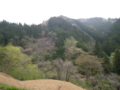 f:id:mcan164-923:20120501073504j:image:medium