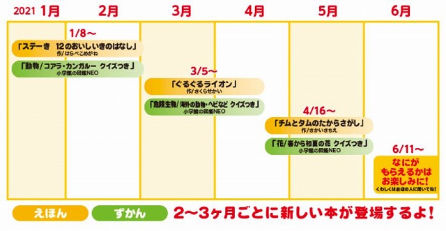 f:id:mcdonalds-happyset:20210122215035j:plain