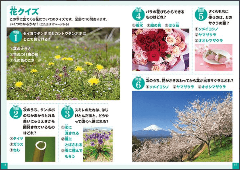 21年4月 ほんのハッピーセット 図鑑 花 春から初夏の花 クイズつき ずかん マクドナルドのハッピーセット大好き