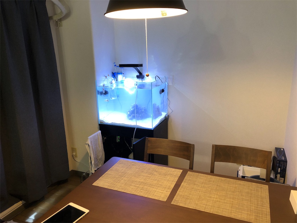 f:id:mcgioibnz:20190701165942j:image