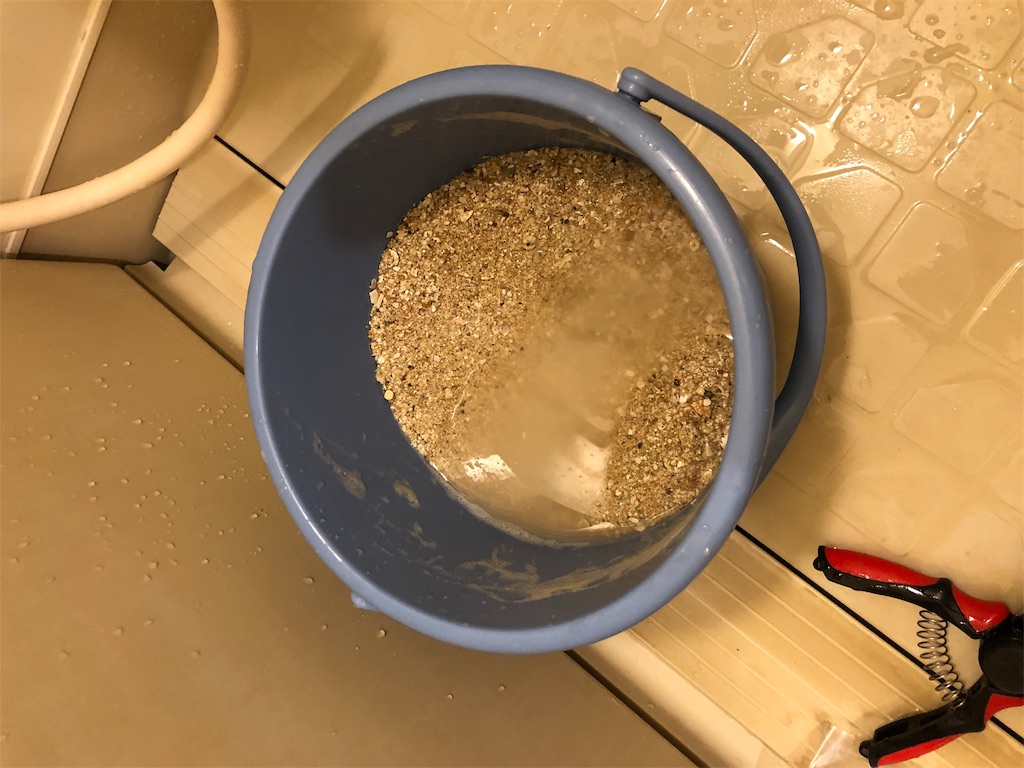 f:id:mcgioibnz:20190701170222j:image