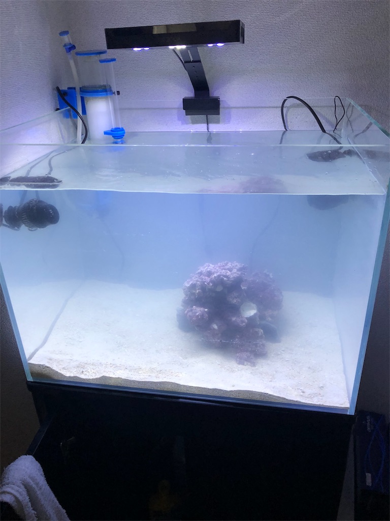f:id:mcgioibnz:20190701170945j:image
