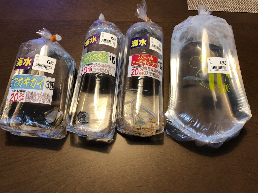 f:id:mcgioibnz:20190701185709j:image