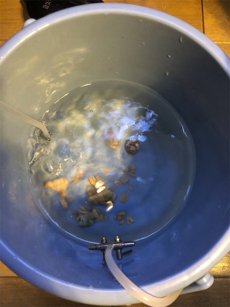 f:id:mcgioibnz:20190701190741j:image