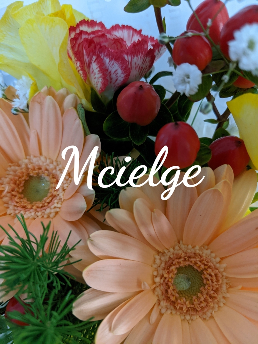 f:id:mcielge:20210224091838j:plain
