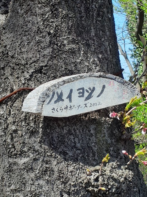 f:id:mckabu:20230404194537j:image