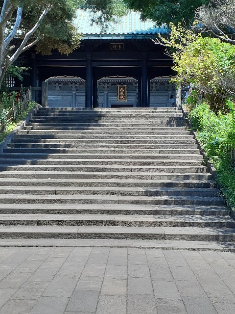 f:id:mckabu:20230806180856j:image