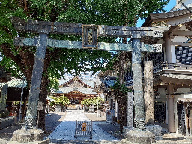 f:id:mckabu:20230806181335j:image