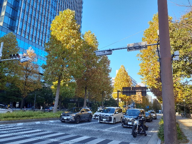 f:id:mckabu:20231121115410j:image