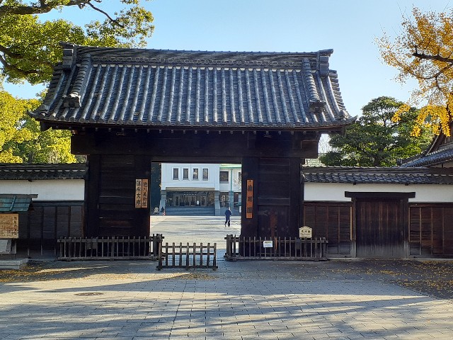 f:id:mckabu:20231218114740j:image