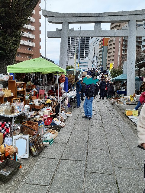 f:id:mckabu:20240201193623j:image