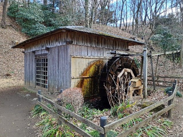 f:id:mckabu:20240218205932j:image