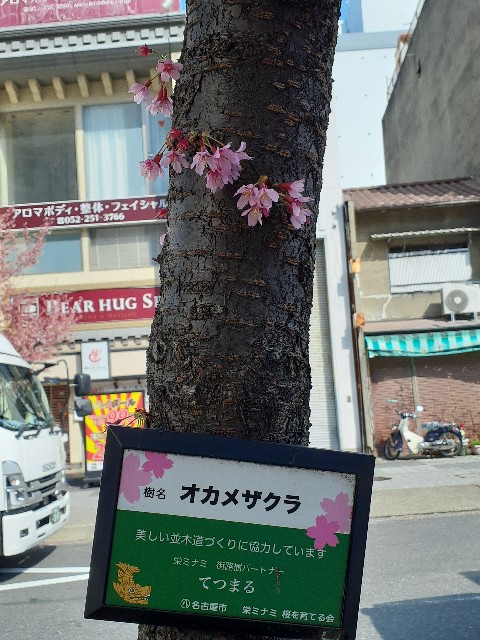 f:id:mckabu:20240420092024j:image