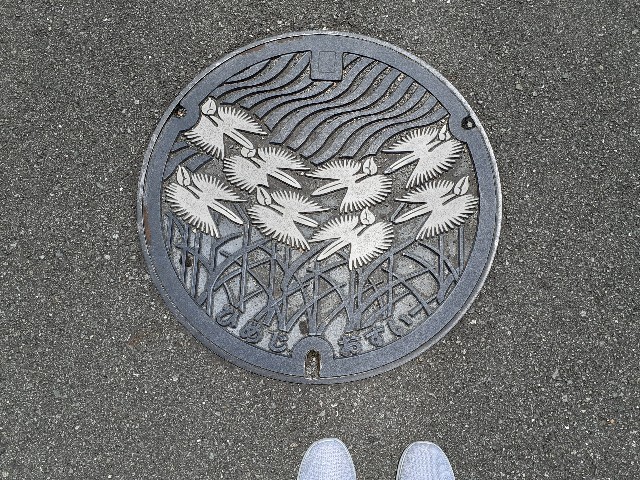 f:id:mckabu:20240525084956j:image