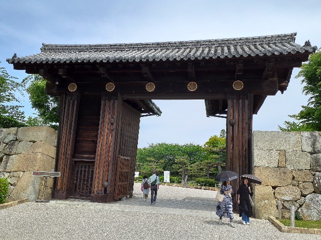 f:id:mckabu:20240525123040j:image