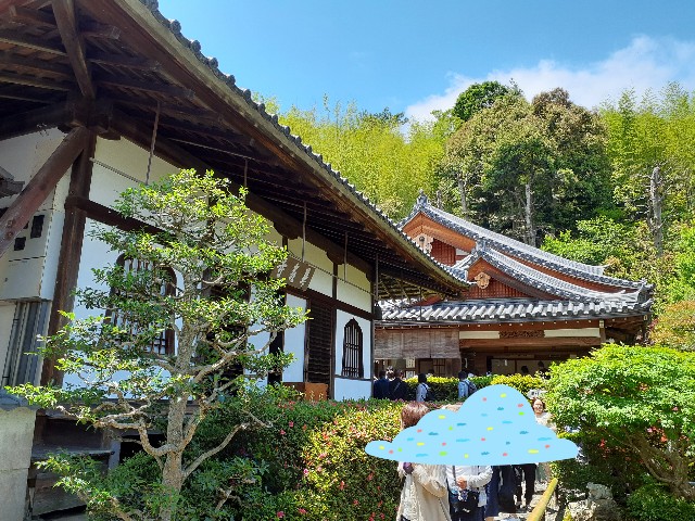 f:id:mckabu:20240531120801j:image