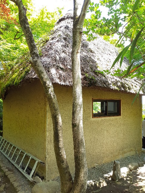 f:id:mckabu:20240531125915j:image