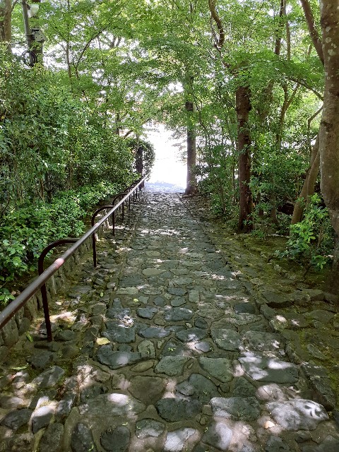 f:id:mckabu:20240531125940j:image