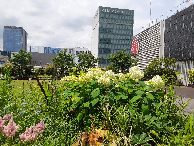 f:id:mckabu:20240601104147j:image