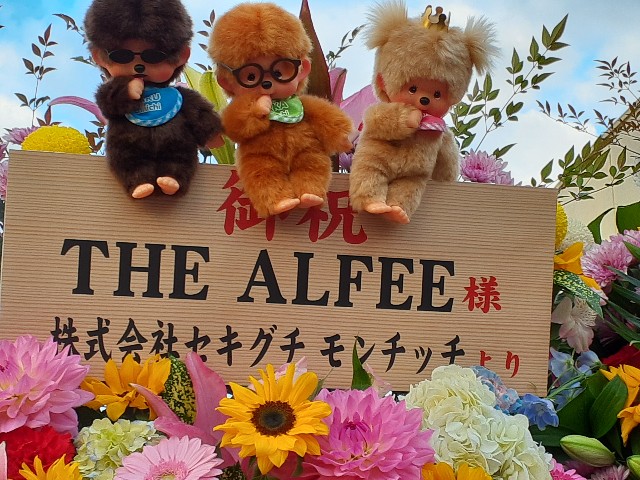 THE ALFEE 城ホール　銀テなど THE ALFEE 大阪城ホール12月29日【全色】銀テープ6色メモチケ