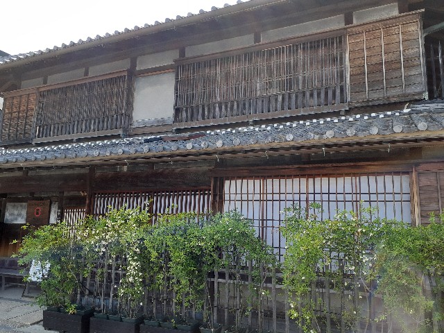 f:id:mckabu:20250521105444j:image