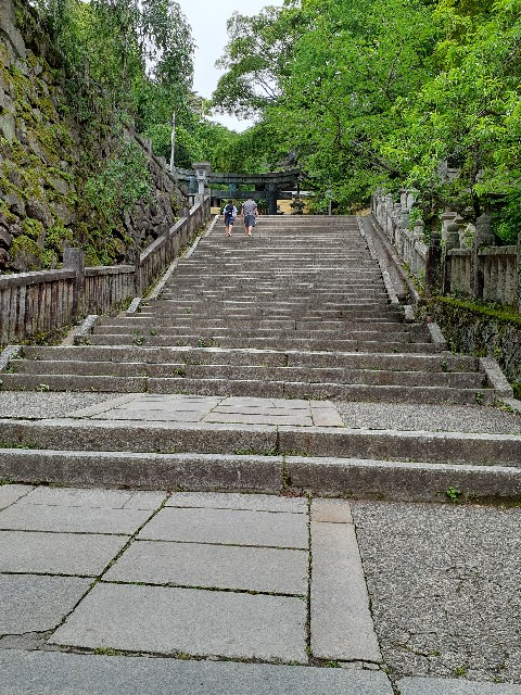 f:id:mckabu:20250605224005j:image