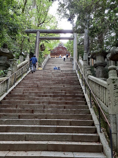 f:id:mckabu:20250605224100j:image