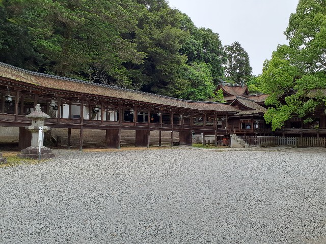 f:id:mckabu:20250606042759j:image