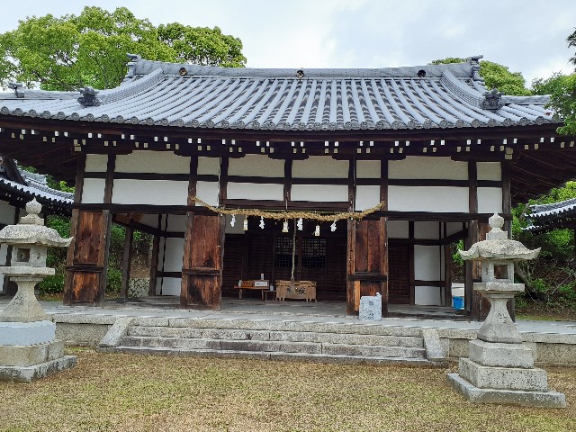 f:id:mckabu:20250611180450j:image