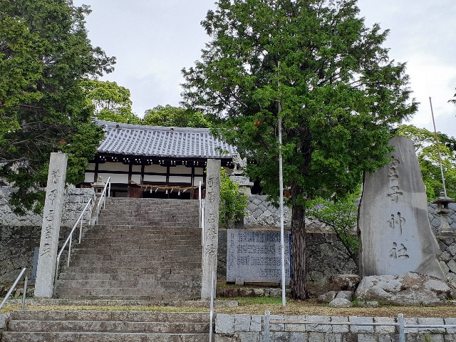 f:id:mckabu:20250611180516j:image