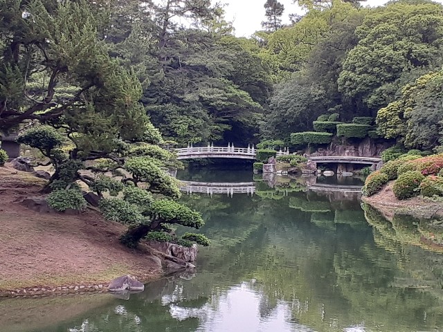 f:id:mckabu:20250614063259j:image