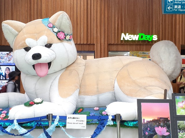 f:id:mckabu:20250820195947j:image