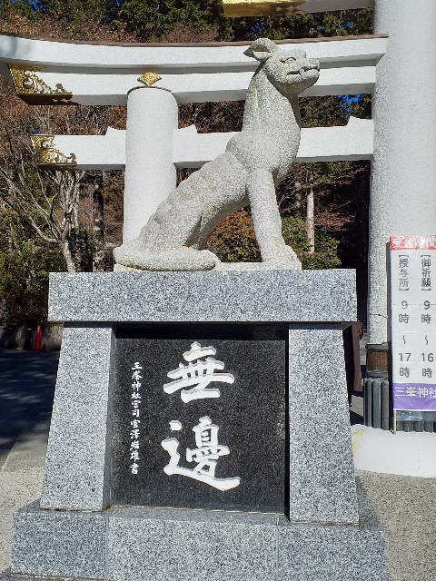 f:id:mckabu:20251210123813j:image