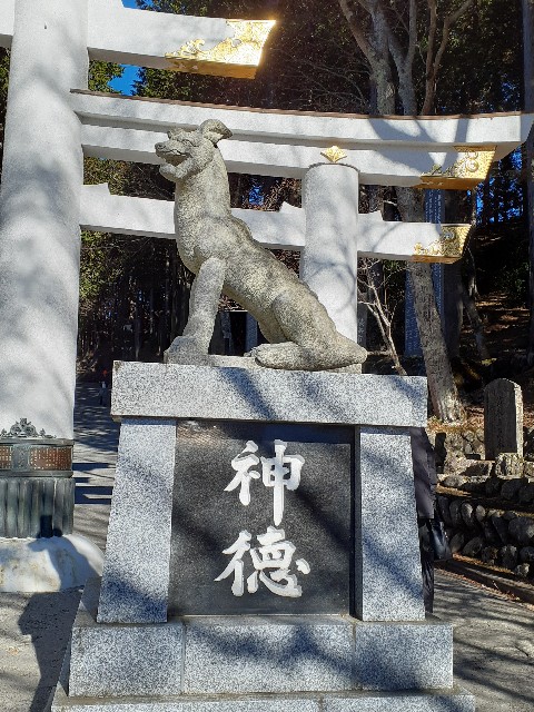 f:id:mckabu:20251210123828j:image