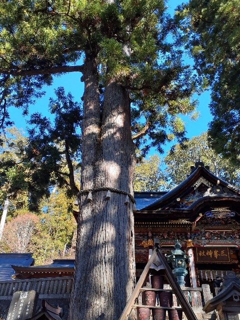 f:id:mckabu:20251210123901j:image