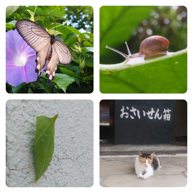 f:id:mcmania:20191231210930j:image f:id:mcmania:20191231210930j:image