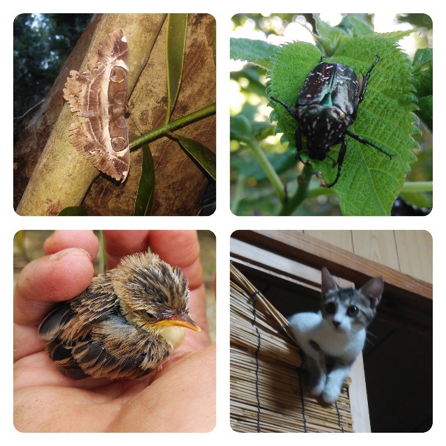 f:id:mcmania:20191231211038j:image f:id:mcmania:20191231211038j:image