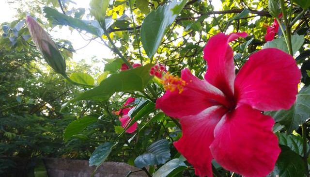f:id:mcmania:20191231221929j:image f:id:mcmania:20191231221929j:image