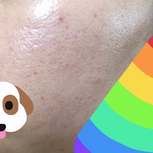 f:id:mcosme:20191221133203j:plain f:id:mcosme:20191221133203j:plain