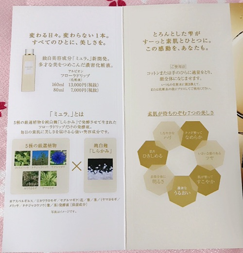 f:id:mcosme:20200301124430j:plain f:id:mcosme:20200301124430j:plain