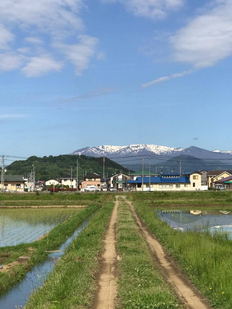 f:id:mcpgblog:20170612112226j:plain